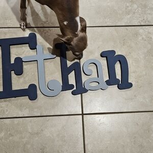 Personalized Blue and Gray Dog Name Sign